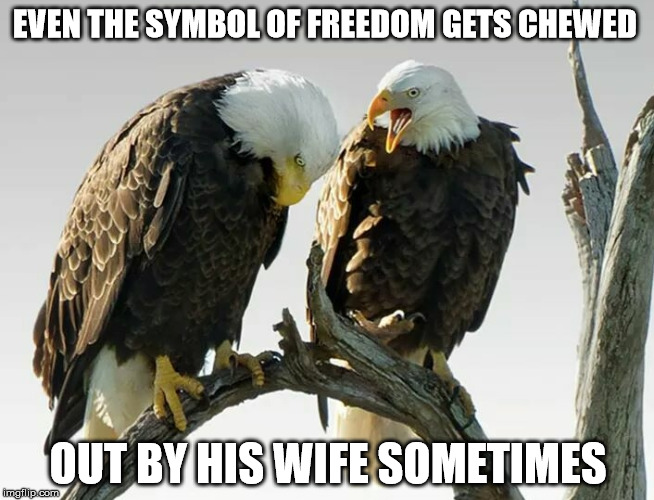 even the symbol of freedom gets chewed out by his wife Imgflip