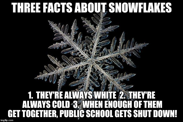 snowflakes Imgflip