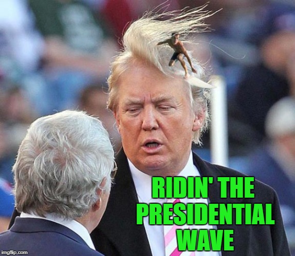 After watching the State of the Union Address I'm.... Imgflip