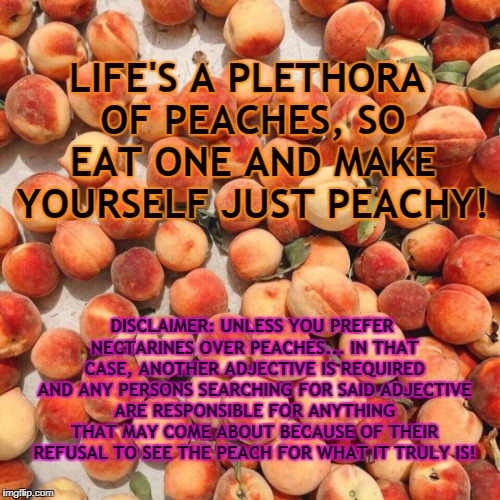 Image tagged in a plethora of peaches makes life just peachy Imgflip