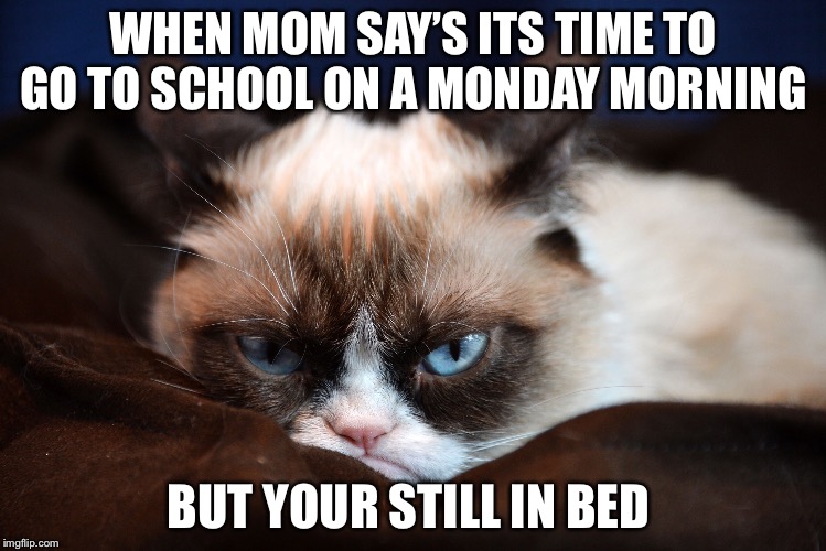 I HATE MONDAYS Imgflip