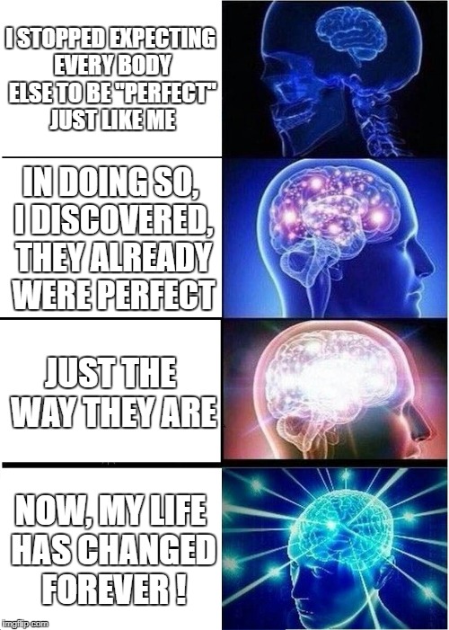 Expanding Brain Meme Imgflip