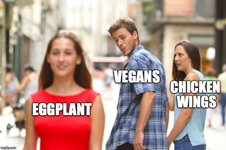 Vegan life Imgflip