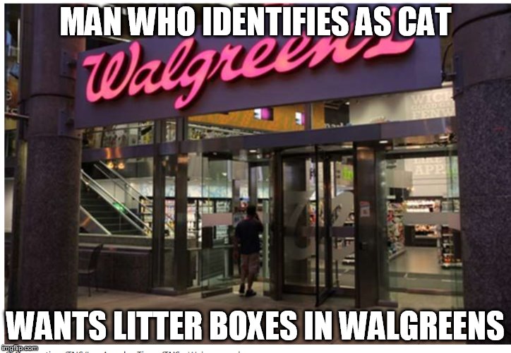 Image tagged in walgreens,cat,furry Imgflip
