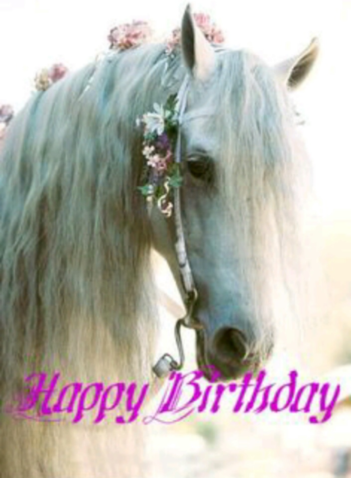 Horse birthday Memes Imgflip