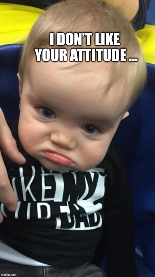 Image tagged in i dont like your attitude Imgflip