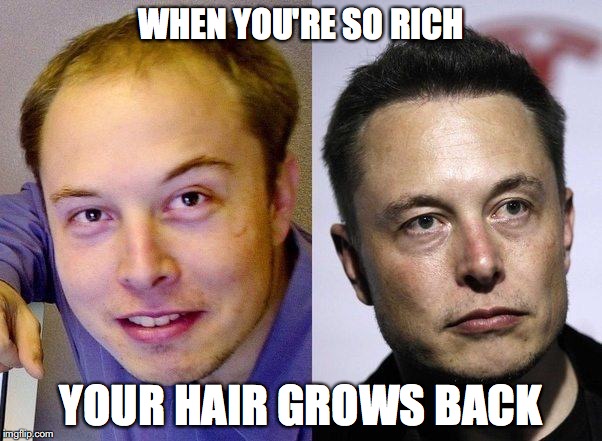 Image tagged in elon musk,hair Imgflip