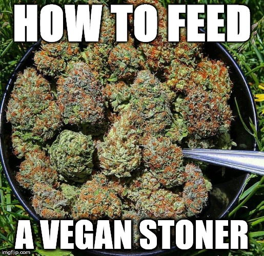 How to feed a vegan Imgflip