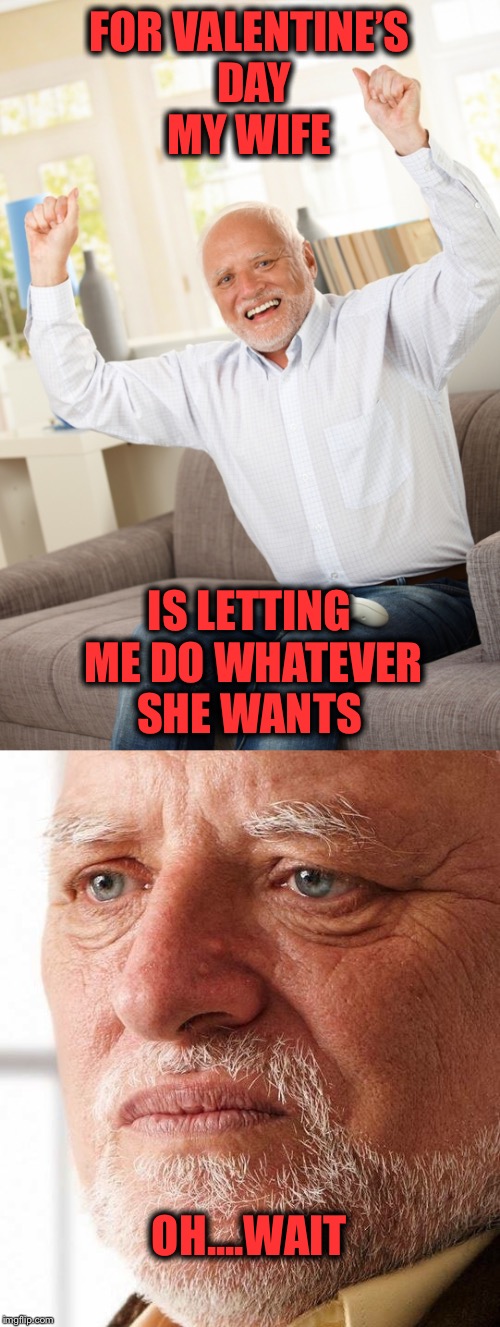 Happy VD flippers!! Imgflip