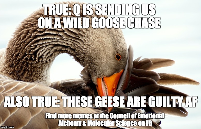 Q Wild Goose Chase Imgflip