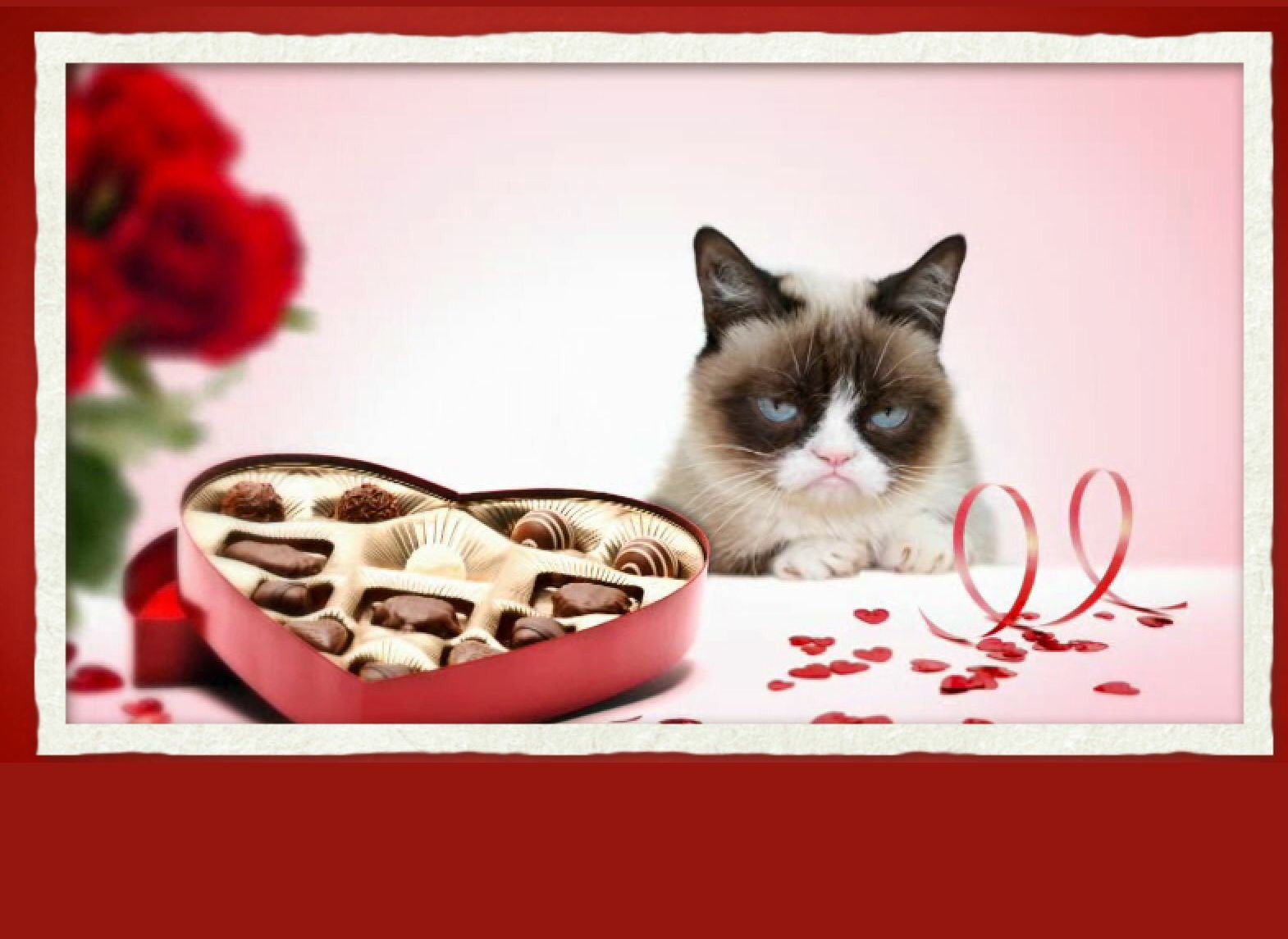 grumpy valentine Memes Imgflip