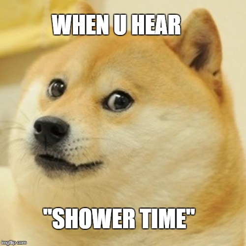 Doge Meme Imgflip