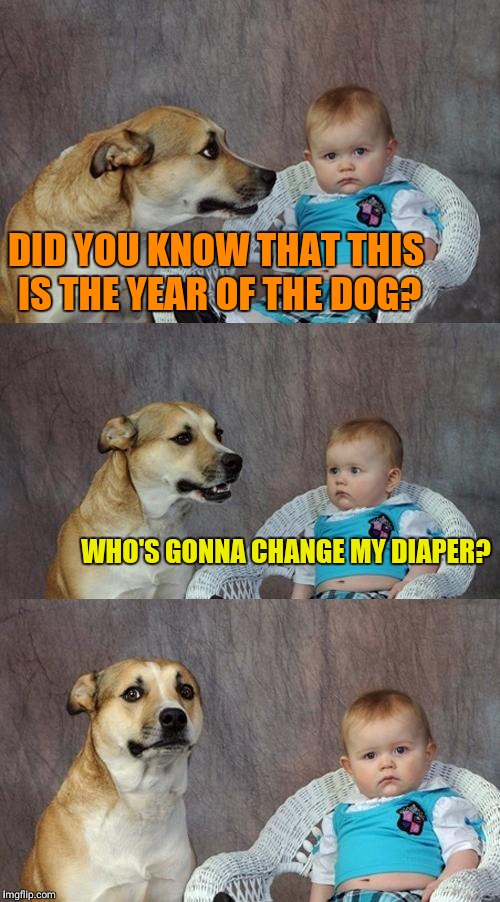 Dad Joke Dog Meme Imgflip