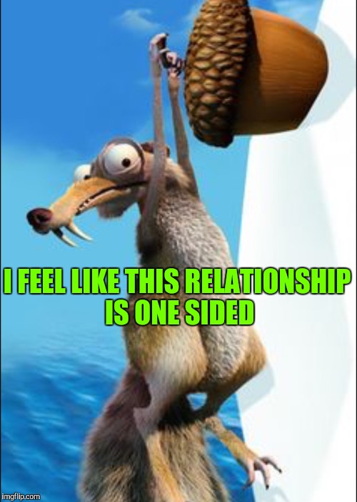 Obsessed squirrel Imgflip