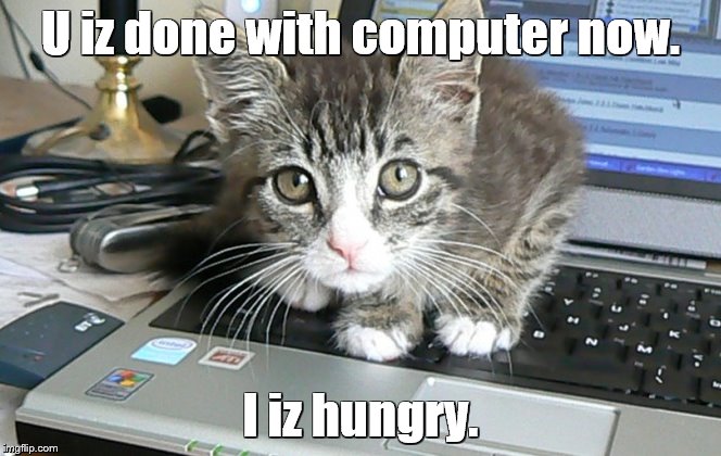 Computer cat Imgflip