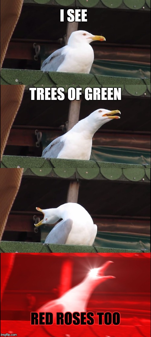 Inhaling Seagull Meme Imgflip