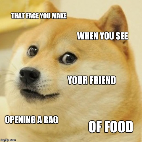 Doge Meme Imgflip