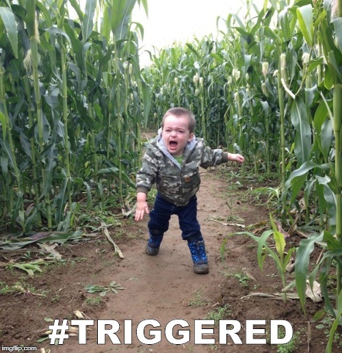Corn Maze Kid Memes Imgflip