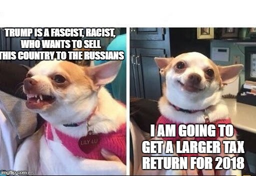 Image tagged in angry happy chihuahua Imgflip