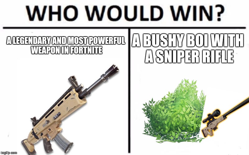 Scar Vs A bush Imgflip