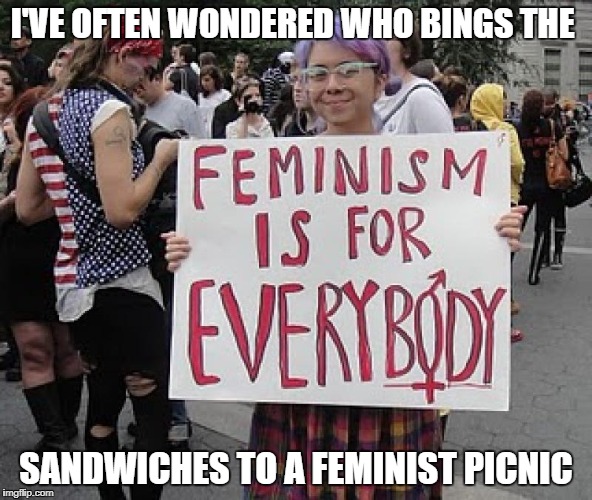 Image tagged in feminist,angry feminist,feminism,actually funny