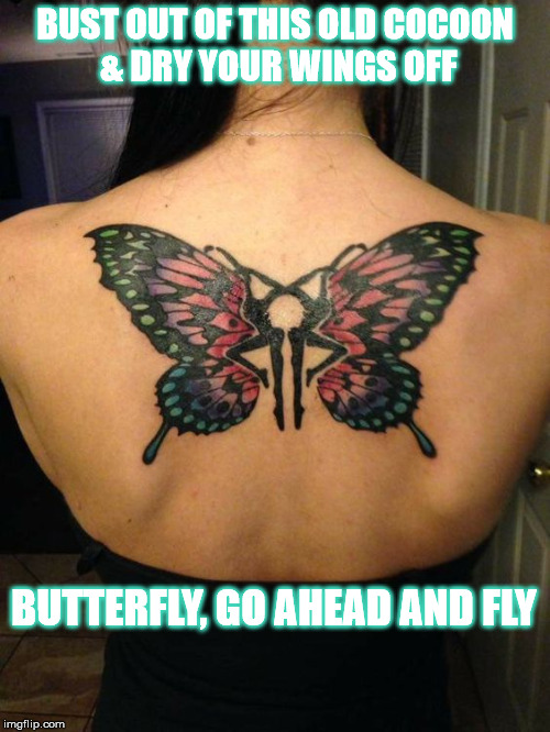 DMB Butterfly Imgflip