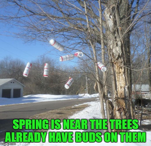 SPRING IS NEAR Imgflip