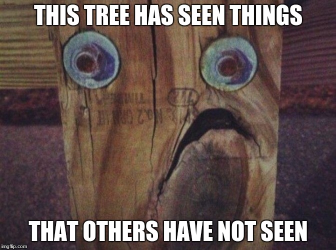Image tagged in oak Imgflip