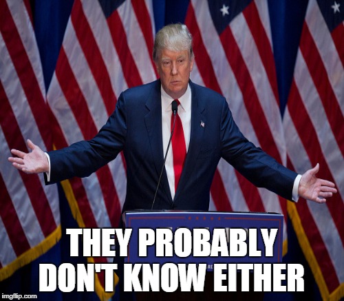 Question everything Imgflip