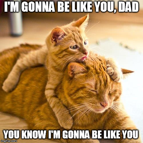 When you coming home, dad? Imgflip