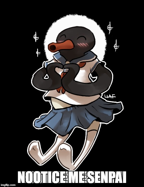 Image tagged in pingu,notice me senpai,noot noot Imgflip