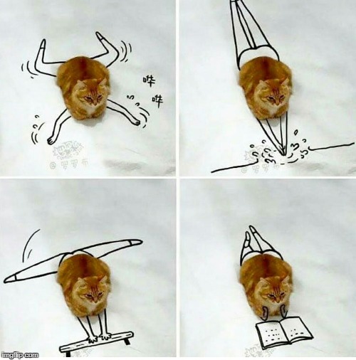 busy Memes & GIFs Imgflip