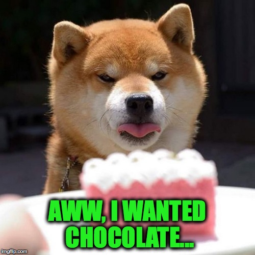 Doge Has Preferences... Imgflip