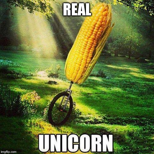 Made from the grounded up horns from real unicorns Imgflip