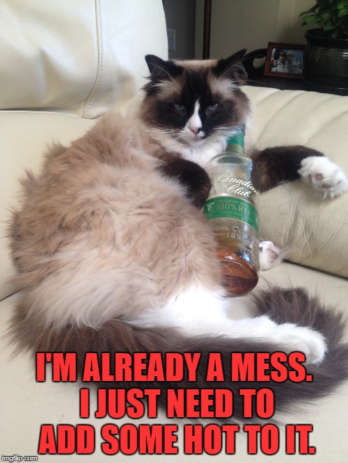 Wet Hot Mess Imgflip