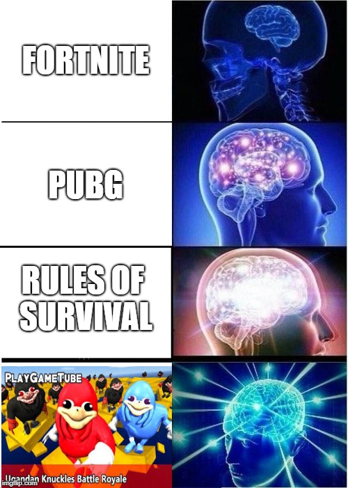 Expanding Brain Meme Imgflip