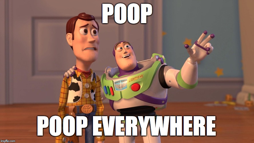 Woody and Buzz Lightyear Everywhere Widescreen Imgflip