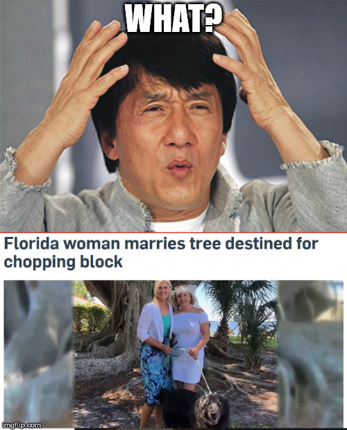 meanwhile in florida Imgflip