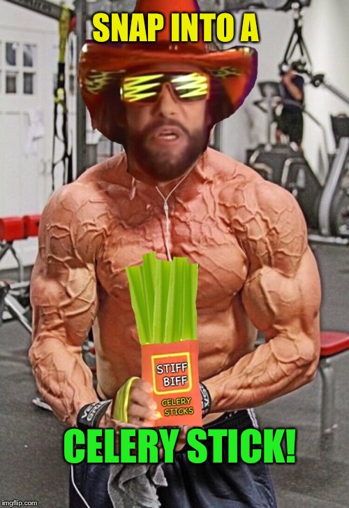 Randy “Macho Man” Savage’s little known dark descent into Veganism