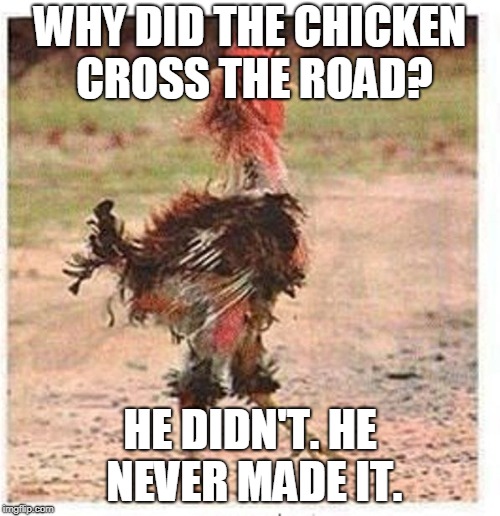 28+ Funny Chicken Memes Clean Factory Memes