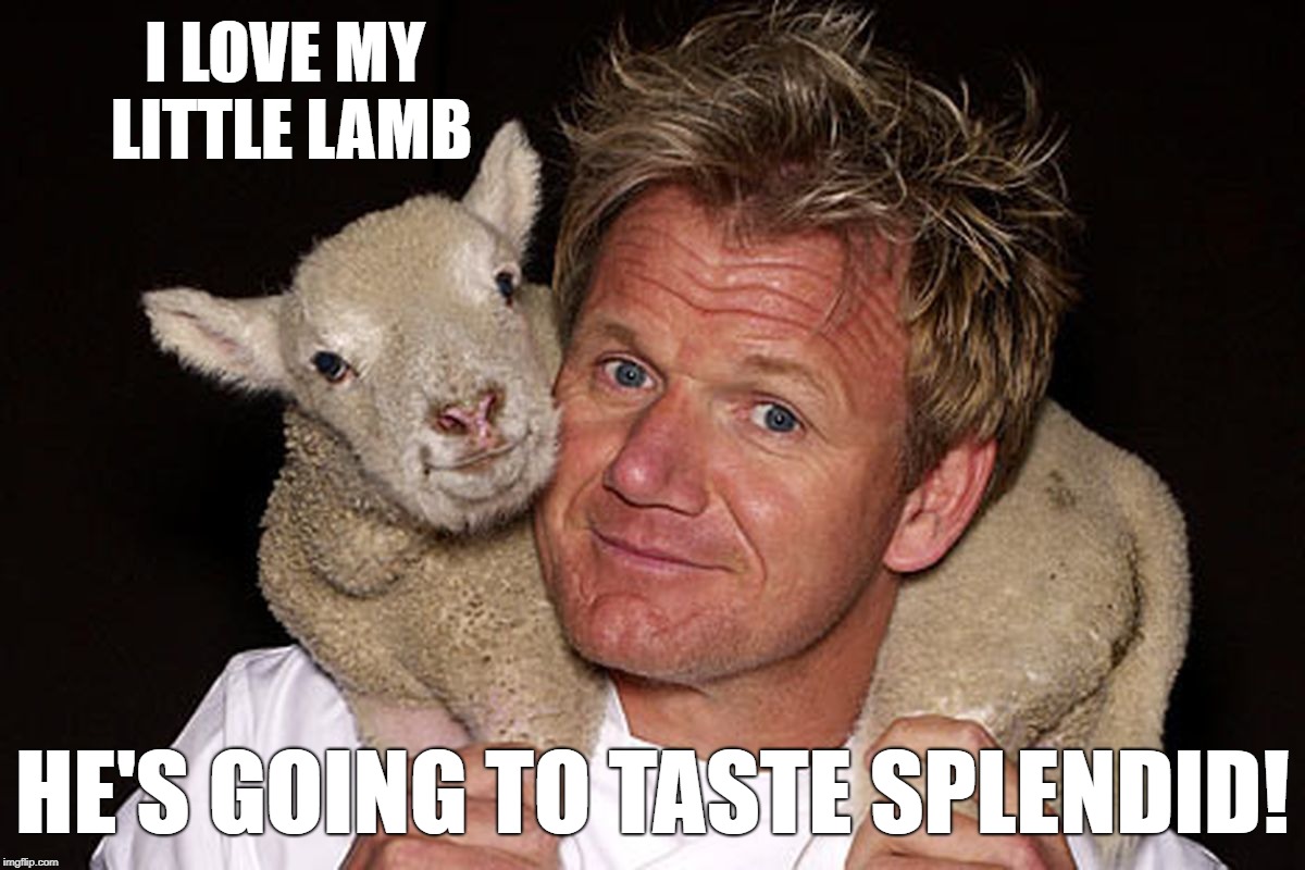 Gordon Ramsay Lamb Imgflip