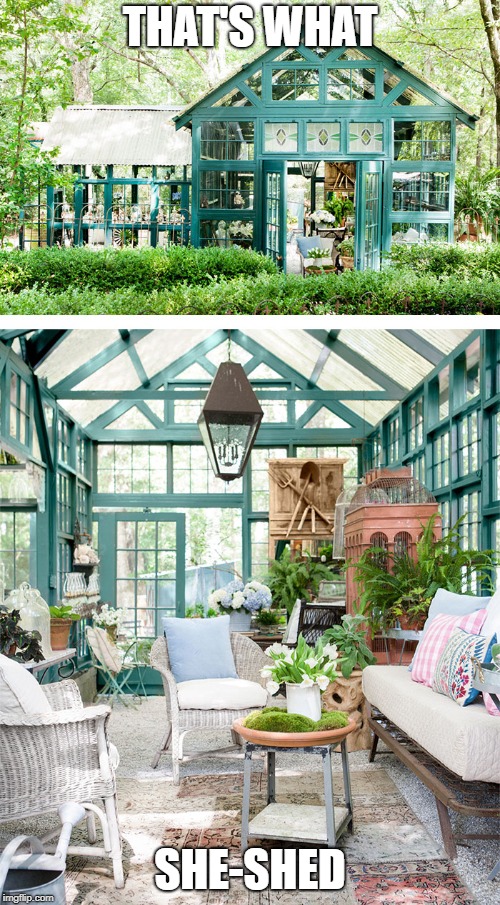 That's What, SheShed Imgflip