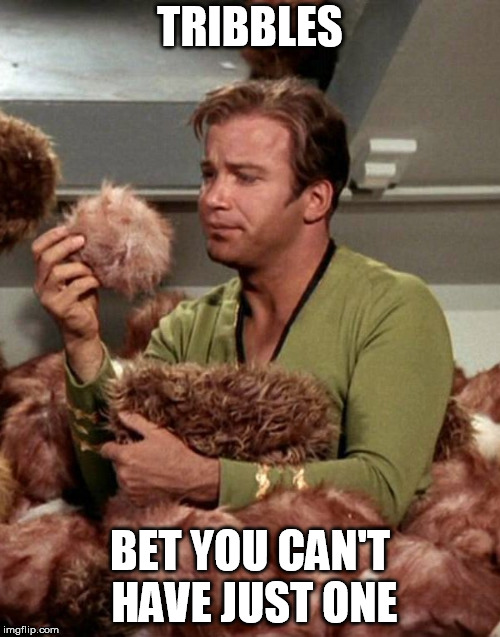 Image tagged in captain kirk,tribbles,star trek Imgflip