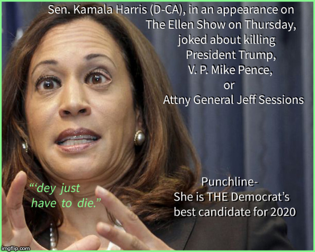 The Democrat's Best Candidate for 2020 Imgflip