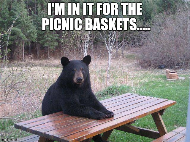 Bear at Picnic Table Imgflip