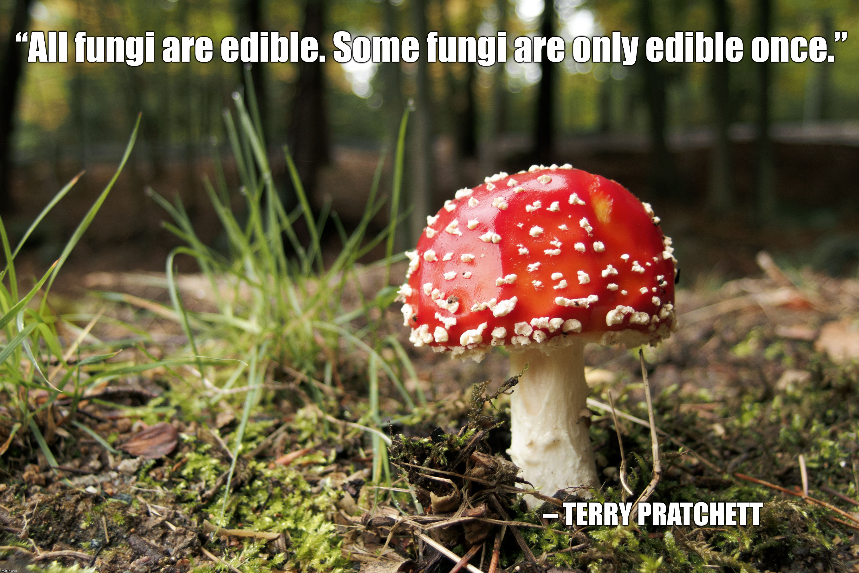Terry Pratchett Quote Imgflip