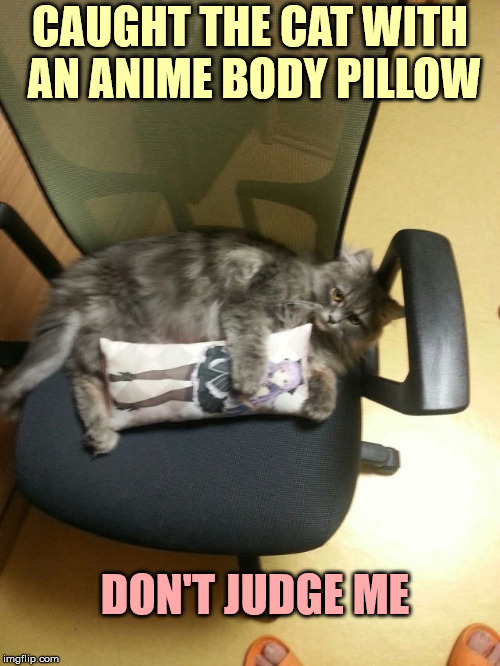 Anime Body Pillow Meme Lots of anime references in this pack including