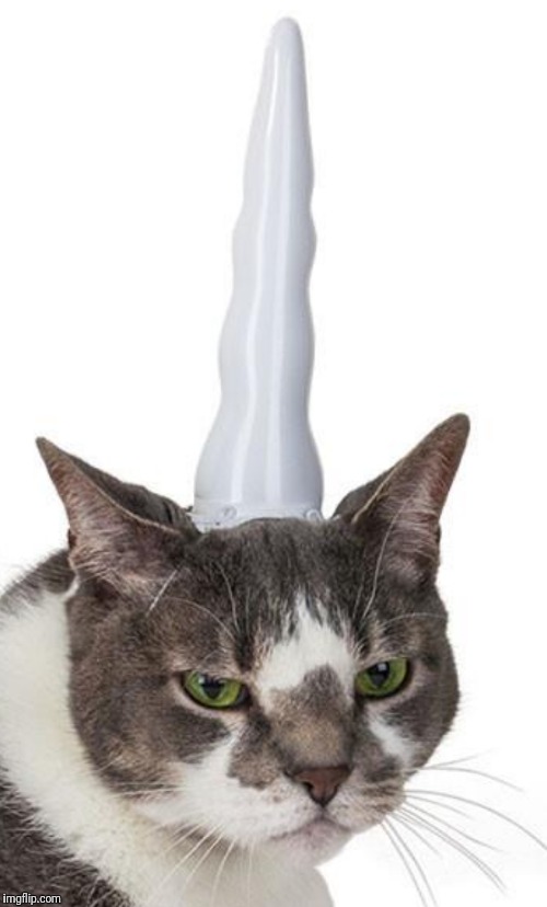 Imgflip