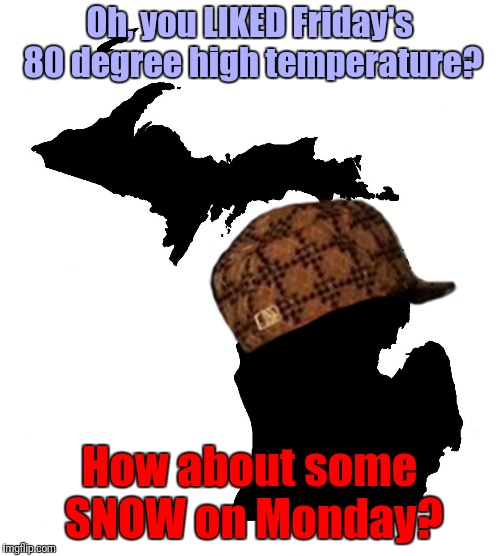 STUPID Michigan! Imgflip