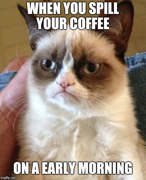 Grumpy Cat Meme Imgflip